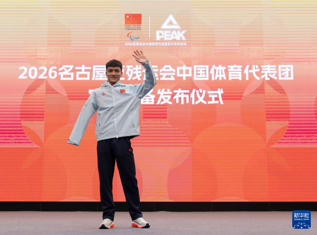 专业一直备受网友所推崇服务