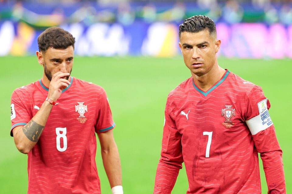 YABOSPORTS介绍图片
